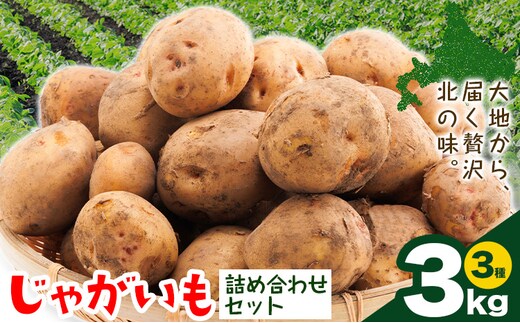 じゃがいも詰め合わせセット 3kg 10種のうち3種をお届け メークイン 男爵 とうや 十勝こがね キタアカリ アンデスレッド インカのめざめ インカのひとみ きたかむい のざわ農園 《9月上旬-12月末頃出荷予定》 北海道 日高町 いも 芋 じゃがいも 野菜---hohdk_nn_11_3kg---