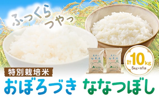 令和7年産 特別栽培米 おぼろづき＆ななつぼし 各5kg 計10kg 田中農園《30日以内出荷予定(土日祝除く)》北海道 日高町 食べ比べ セット お米 北海道 日高 米 こめ コメ 白米 白飯 ご飯 ごはんふっくら つややか 豊かな甘み ほどよい粘り 日高町米 おぼろづき ななつぼし ---hohdk_tn_1_5kg---