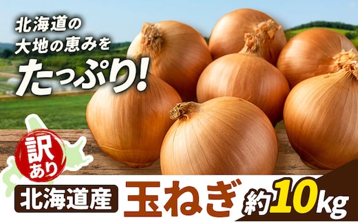 訳あり 野菜 玉ねぎ 10kg B&T TRADING株式会社《30営業日以内に出荷予定(土日祝除く)》北海道 日高町 玉ねぎ 北海道産 国産 野菜 大容量 家庭用 常備野菜 サラダ カレー スープ 煮物 炒め物 甘み 新鮮---26_hohdk_btt_49_10kg_wt---