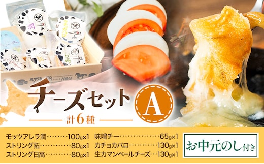 【お中元のし付き】チーズセットA 計6種 チーズ工房1103《90日以内に出荷予定(土日祝除く)》ストリング拓 ストリング日高 味噌チー モッツアレラ潤 カチョカバロ 生カマンベール チーズ チーズセット 乳製品 送料無料 ギフト 贈り物 北海道 日高町---hohdk_ck_5_set---