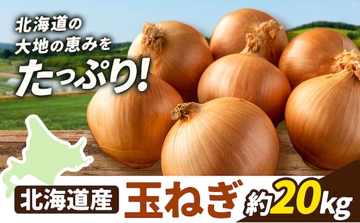 野菜 玉ねぎ 20kg B&T TRADING株式会社《30営業日以内に出荷予定(土日祝除く)》北海道 日高町 玉ねぎ 北海道産 国産 野菜 大容量 家庭用 常備野菜 サラダ カレー スープ 煮物 炒め物 甘み 新鮮---26_hohdk_btt_40_20kg_t---