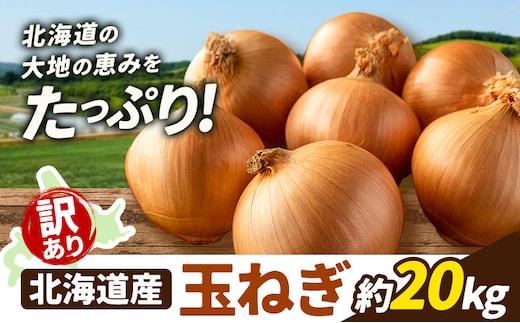 訳あり 野菜 玉ねぎ 20kg B&T TRADING株式会社《30営業日以内に出荷予定(土日祝除く)》北海道 日高町 玉ねぎ 北海道産 国産 野菜 大容量 家庭用 常備野菜 サラダ カレー スープ 煮物 炒め物 甘み 新鮮---26_hohdk_btt_46_20kg_wt---