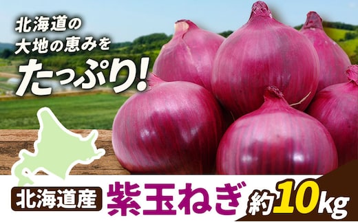 野菜 紫玉ねぎ 10kg B&T TRADING株式会社《30営業日以内に出荷予定(土日祝除く)》北海道 日高町 玉ねぎ 紫玉ねぎ 赤玉ねぎ 北海道産 国産 野菜 大容量 家庭用 常備野菜 サラダ カレー スープ 煮物 炒め物 甘み 新鮮---26_hohdk_btt_44_10kg_mt---