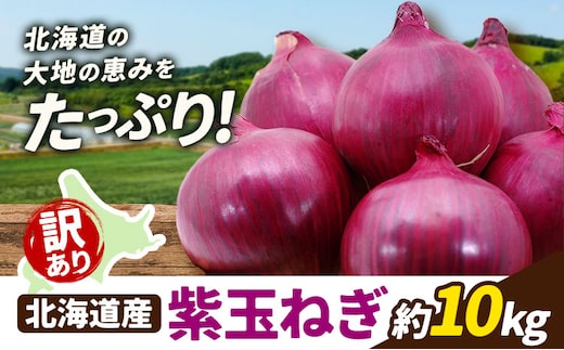 訳あり 野菜 紫玉ねぎ 10kg B&T TRADING株式会社《30営業日以内に出荷予定(土日祝除く)》北海道 日高町 玉ねぎ 紫玉ねぎ 赤玉ねぎ 北海道産 国産 野菜 大容量 家庭用 常備野菜 サラダ カレー スープ 煮物 炒め物 甘み 新鮮---26_hohdk_btt_50_10kg_wmt---
