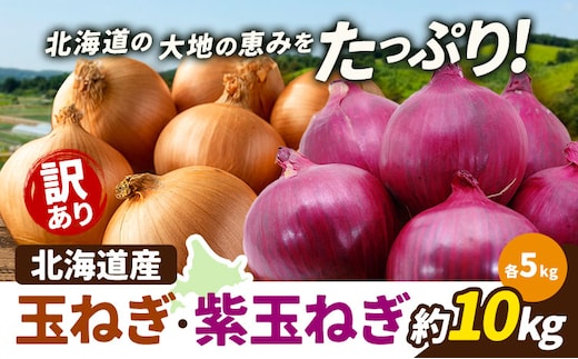 訳あり 野菜 玉ねぎ・紫玉ねぎ 10kg B&T TRADING株式会社《30営業日以内に出荷予定(土日祝除く)》北海道 日高町 玉ねぎ 紫玉ねぎ 赤玉ねぎ 北海道産 国産 野菜 大容量 家庭用 常備野菜 サラダ カレー スープ 煮物 炒め物 甘み 新鮮---26_hohdk_btt_51_10kg_wtmt---