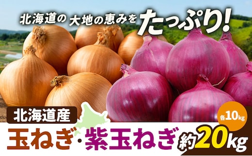 野菜 玉ねぎ・紫玉ねぎ 20kg B&T TRADING株式会社《30営業日以内に出荷予定(土日祝除く)》北海道 日高町 玉ねぎ 紫玉ねぎ 赤玉ねぎ 北海道産 国産 野菜 大容量 家庭用 常備野菜 サラダ カレー スープ 煮物 炒め物 甘み 新鮮---26_hohdk_btt_42_20kg_tmt---