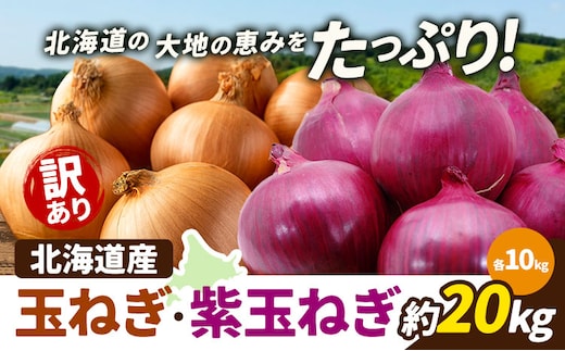 訳あり 野菜 玉ねぎ・紫玉ねぎ 20kg B&T TRADING株式会社《30営業日以内に出荷予定(土日祝除く)》北海道 日高町 玉ねぎ 紫玉ねぎ 赤玉ねぎ 北海道産 国産 野菜 大容量 家庭用 常備野菜 サラダ カレー スープ 煮物 炒め物 甘み 新鮮---26_hohdk_btt_48_20kg_wtmt---