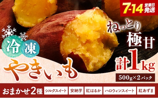 冷凍焼きいも 約1キロ 《7-14日以内に出荷予定(土日祝除く)》のざわ農園 真空パック 詰め合わせ 品種ランダム 2品種 シルクスイート 安納芋 ベニアズマ 紅はるか ハロウィンスイート 北海道 日高町---hohdk_nn_21_1kg_wx---