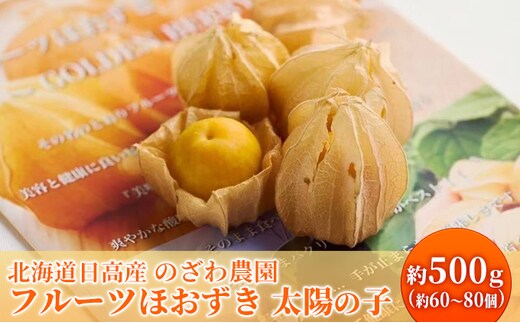 【2026年発送 先行予約】【 のざわ農園 】 フルーツ ほおずき 「 太陽の子 」約500g 北海道 日高産 希少 ホオズキ
