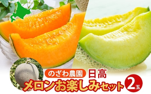 【2026年発送 先行予約】のざわ農園 日高 赤肉メロン 2玉 めろん メロン 赤い 青い 甘い 夏 フルーツ 果実 ルピアレッド 糖度 甘み 濃厚 肥料 贈り物 お中元 お歳暮 常温 冷蔵庫 家族 デザート のざわ農園 北海道 日高町