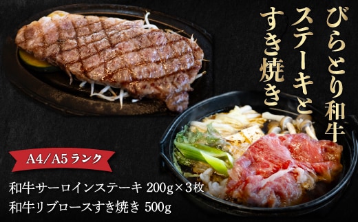 【12/24まで年内発送】【A4/A5ランク黒毛和牛】びらとり和牛ステーキとすき焼きセット オリジナルタレ付き BRTB024