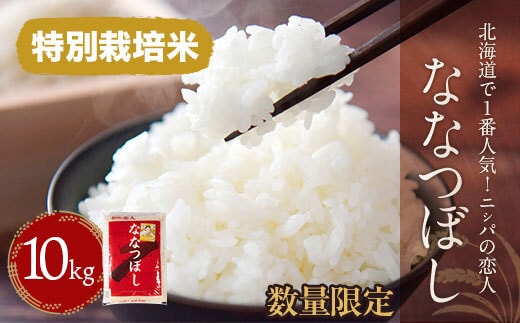 【令和7年産新米】北海道で１番人気！「ニシパの恋人」ななつぼし10kg（10kg×1）BRTH014
