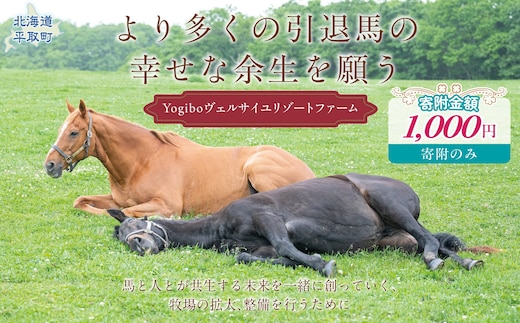 【千円コース 返礼品無し】より多くの引退馬の幸せな余生を願う Yogiboヴェルサイユリゾートファーム BRTV024-01