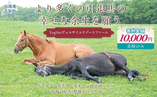 【1万円コース 返礼品無し】より多くの引退馬の幸せな余生を願う Yogiboヴェルサイユリゾートファーム BRTV024-03