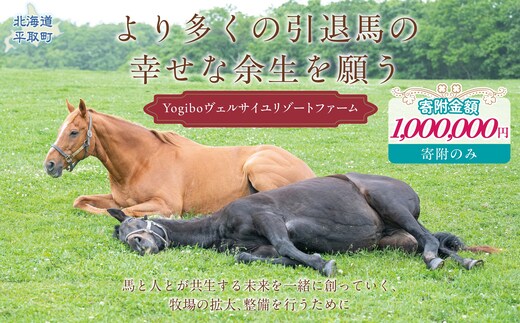 【100万円コース 返礼品無し】より多くの引退馬の幸せな余生を願う Yogiboヴェルサイユリゾートファーム BRTV024-06