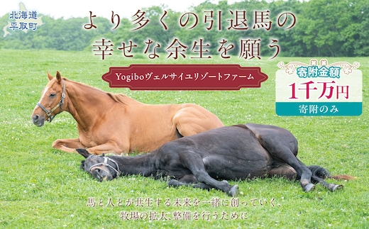 【1000万円コース 返礼品無し】より多くの引退馬の幸せな余生を願う Yogiboヴェルサイユリゾートファーム BRTV024-07