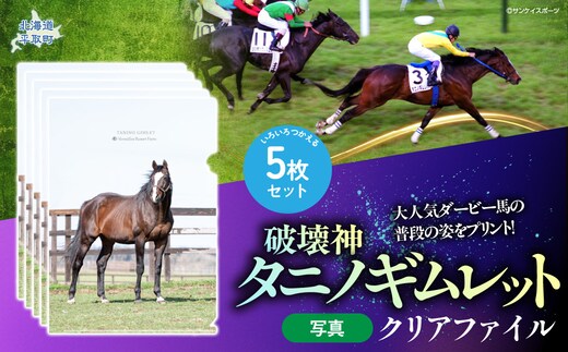 【破壊神タニノギムレット】クリアファイル5枚入り BRTV112