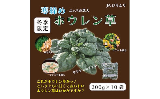 【北海道平取町産】寒締めホウレン草（ちぢみほうれん草）200g×10袋 BRTO003