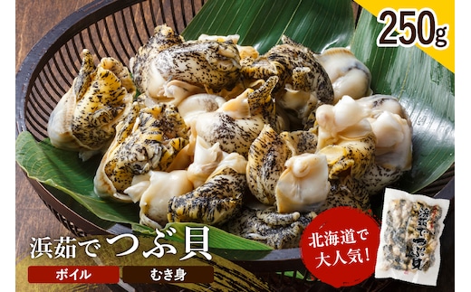 浜茹でつぶ貝 250g【er001-116】