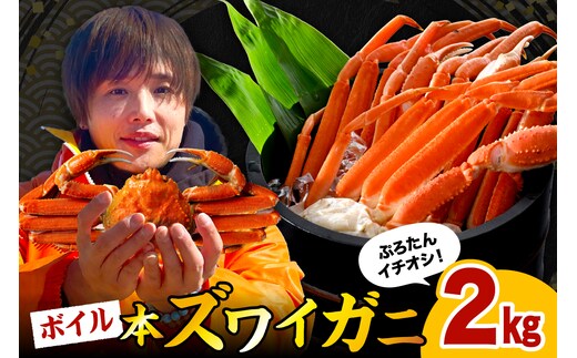本ズワイガニ6肩～9肩（約2㎏）【er018-045-a】