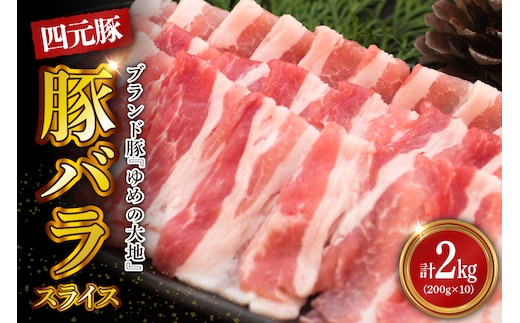 【えりも町生まれ 四元豚】ゆめの大地豚バラスライス200g×10パック計2kg【er020-005】