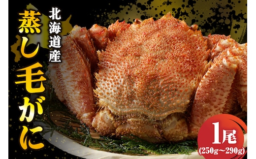北海道産活蒸し毛蟹約250g～約290g×1尾【er001-107】