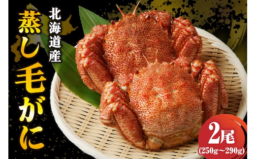 北海道産活蒸し毛蟹約250g～約290g×2尾【er001-108-a】
