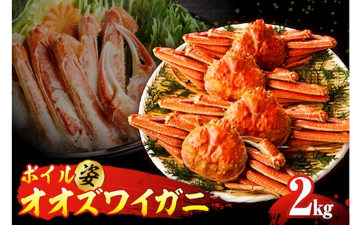 ボイルオオズワイガニ姿 2kg（４～5杯）【er018-063-a】