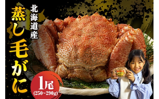 北海道産活蒸し毛蟹約250g～約290g×1尾【er001-107】