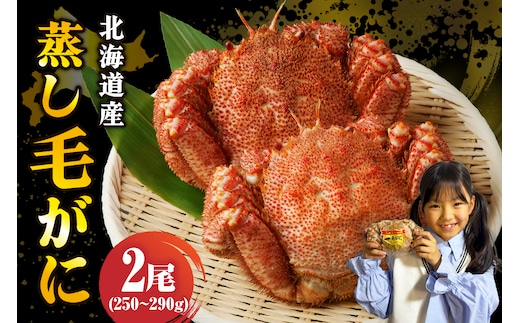 北海道産活蒸し毛蟹約250g～約290g×2尾【er001-108-a】