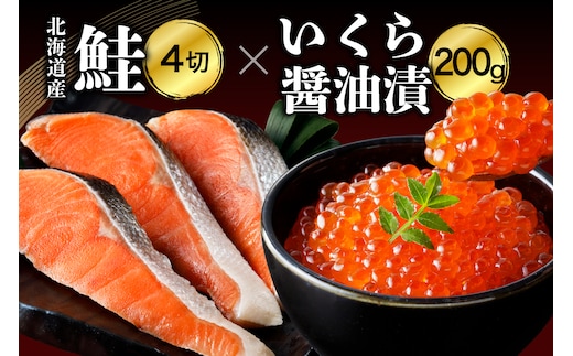 北海道産鮭薄塩切身といくら醤油漬Aセット【er003-004-a】/ 鮭 さけ サケ イクラ いくら醬油漬け いくら醬油漬 塩鮭 紅鮭 塩漬 塩漬け いくら丼 イクラ丼 焼き魚 冷凍 冷凍便 魚介類 魚介 海鮮 海産物 特産 産地直送 国産 北海道産 北海道 えりも町