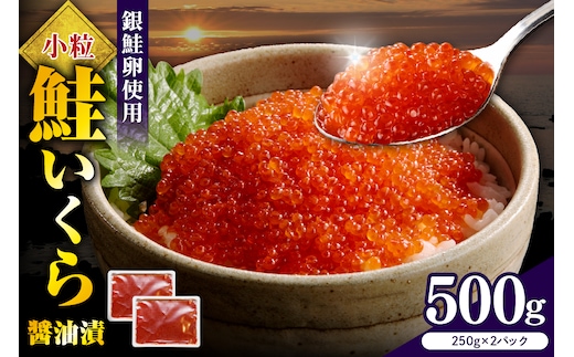 えりも【マルデン特製】鮭いくら醤油漬け250g×2箱【er002-098】