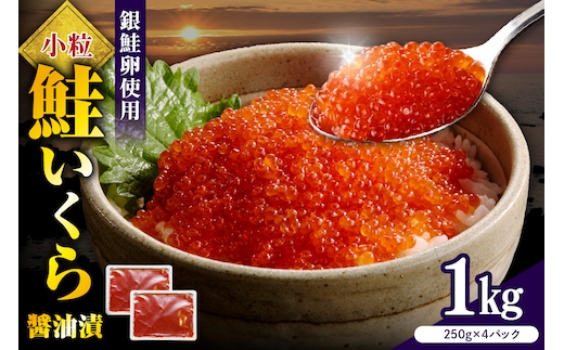 えりも【マルデン特製】鮭いくら醤油漬け250g×4箱【er002-099】