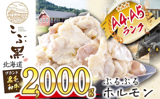 北海道産 黒毛和牛 こぶ黒 A5 A4 ぷるぷる 和牛 ホルモン 計 2kg (500g×4パック)