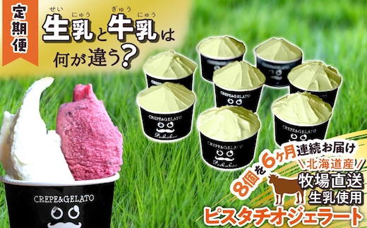 ＜6ヶ月定期便＞北海道産 生乳 ジェラート アイス ピスタチオ 毎月8個 ジェラートセット