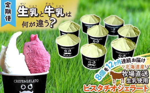 ＜12ヶ月定期便＞北海道産 生乳 ジェラート アイス 毎月8個 ピスタチオ