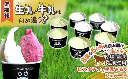 ＜6ヶ月定期便＞北海道産 生乳 ジェラート アイス 毎月8個 ピスタチオ ＆ 生乳ミルク 各4個 詰め合わせ ジェラートセット