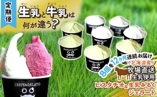 ＜12ヶ月定期便＞北海道産 生乳 ジェラート アイス 毎月8個 ピスタチオ ＆ 生乳ミルク 各4個 詰め合わせ ジェラートセット