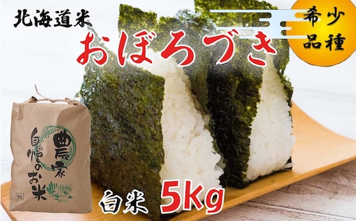 ＜ 10月中旬より発送開始 ＞ 新米 令和8年度産 北海道米 おぼろづき 白米 5kg 北海道 新ひだか町 ＜ 予約受付 ＞