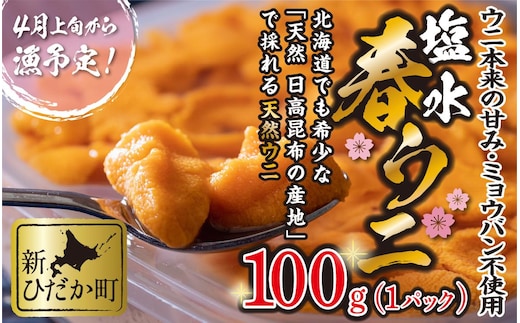 ＜ 2026年4月上旬より発送 ＞ うに 北海道 100g 使用するのは塩水のみ 日高沖産 塩水 生雲丹 春ウニ エゾバフンウニ ＜ 予約受付 ＞