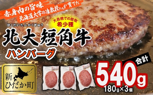 北海道産 北大 短角牛 ハンバーグ 計 540g (180g×3枚) 
