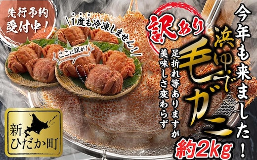 ＜2026年2月中旬から順次発送＞ 訳あり 北海道産 浜ゆで 毛ガニ 約 2kg ＜予約商品＞ 毛蟹 毛がに かに味噌 カニ味噌 新鮮 旬 ボイル 浜茹で 海鮮 海産物 わけあり 訳アリ 