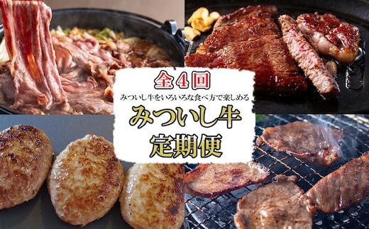＜定期便４回＞ 北海道産 黒毛和牛 みついし牛 定期便