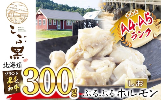 北海道産 黒毛和牛 こぶ黒 和牛 しお ホルモン 300g 