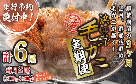 ＜2026年2月上旬から順次発送＞【 定期便 全 3回 】 北海道産 浜ゆで 毛ガニ 2尾 × 3回 （ 計 6尾 ） ＜ 1月20日まで受付 ＞ 毛蟹 毛がに かに味噌 カニ味噌 新鮮 旬 ボイル 浜茹で 海鮮 海産物