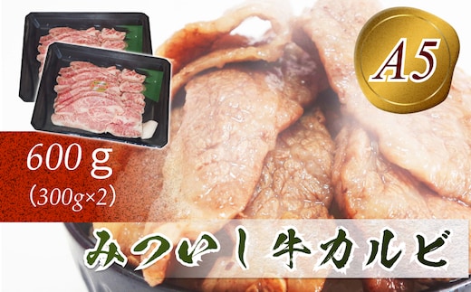 北海道産 黒毛和牛 みついし牛 A5 カルビ 計 600g ( 300g × 2 )