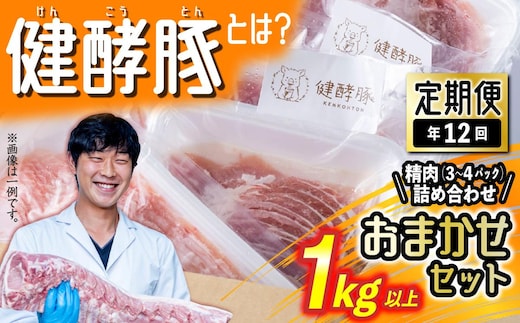 ＜ 定期便 12回 ＞ 北海道産 健酵豚 おまかせ セット （ 精肉 詰め合わせ ） 毎月 各 1kg 以上 ( 3 ～ 4 パック ) 豚肉 おためし 詰め合わせ ブランドポーク