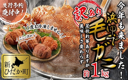 ＜2026年2月中旬から順次発送＞ 訳あり 北海道産 浜ゆで 毛ガニ 約 1kg ＜予約商品＞ 毛蟹 毛がに かに味噌 カニ味噌 新鮮 旬 ボイル 浜茹で 海鮮 海産物 わけあり 訳アリ 