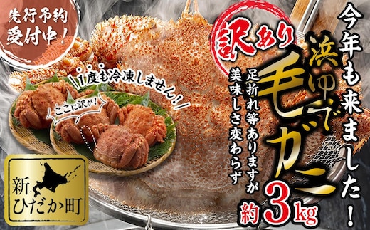 ＜2026年2月中旬から順次発送＞ 訳あり 北海道産 浜ゆで 毛ガニ 約 3kg ＜予約商品＞ 毛蟹 毛がに かに味噌 カニ味噌 新鮮 旬 ボイル 浜茹で 海鮮 海産物 わけあり 訳アリ 