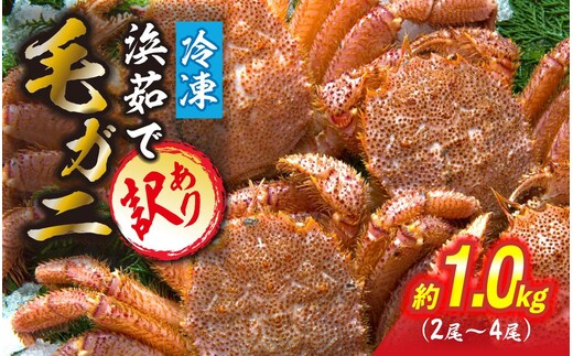 訳あり 北海道産 毛ガニ 冷凍 ボイル 約 1kg （ 2～4尾 ） 毛蟹 毛がに かに カニ 蟹 かに味噌 カニ味噌 海鮮 海産物 わけあり 訳アリ